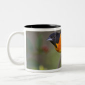 Baltimore Oriole Zweifarbige Tasse (Links)