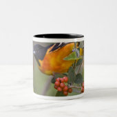 Baltimore Oriole Zweifarbige Tasse (Mittel)