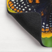 Baltimore-Scheckenfalter Mousepad (Ecke)