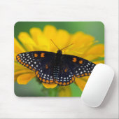 Baltimore-Scheckenfalter Mousepad (Mit Mouse)