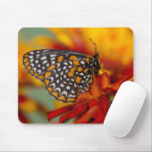 Baltimore-Scheckiger Schmetterling Mousepad (Mit Mouse)