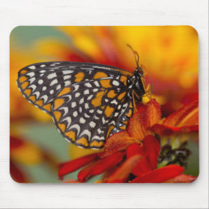 Baltimore-Scheckiger Schmetterling Mousepad