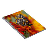 Baltimore-Scheckiger Schmetterling Notizblock (Rechte Seite)