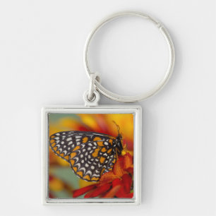 Baltimore-Scheckiger Schmetterling Schlüsselanhänger