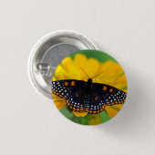Baltimore Schmetterling Button (Vorne & Hinten)