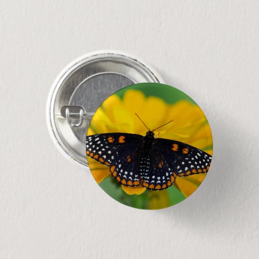 Baltimore Schmetterling Button (Vorne & Hinten)
