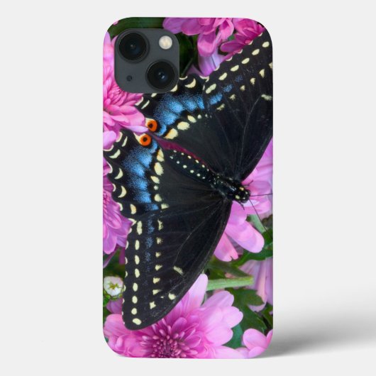 Baltimore Schmetterling Case-Mate iPhone Hülle (Rückseite)
