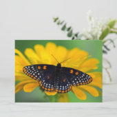 Baltimore Schmetterling Dankeskarte (Stehend Vorderseite)