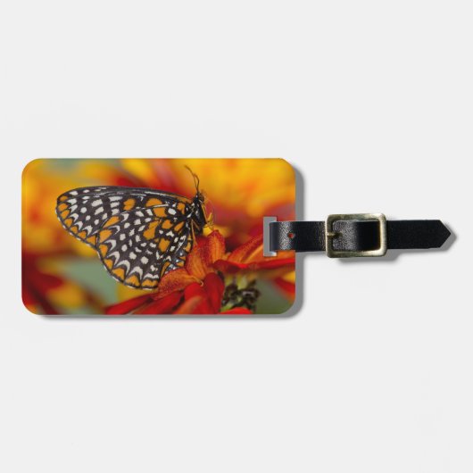 Baltimore-Schmetterling Gepäckanhänger (Vorderseite horizontal)