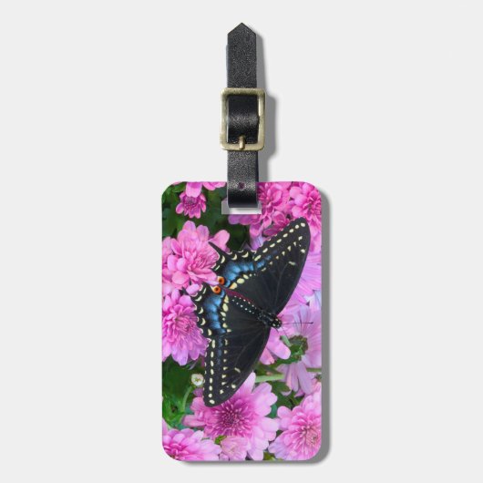 Baltimore Schmetterling Gepäckanhänger (Vorderseite vertikal)