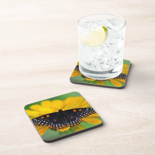 Baltimore Schmetterling Getränkeuntersetzer (Rechte Seite)