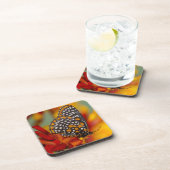 Baltimore-Schmetterling Getränkeuntersetzer (Rechte Seite)