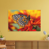 Baltimore-Schmetterling Leinwanddruck (Insitu (Wohnzimmer))