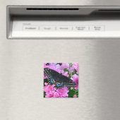 Baltimore Schmetterling Magnet (In Situ (Geschirrspüler))