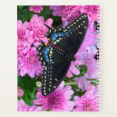 Baltimore Schmetterling Planer (Rückseite)