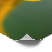 Baltimore Schmetterling Poster (Ecke)