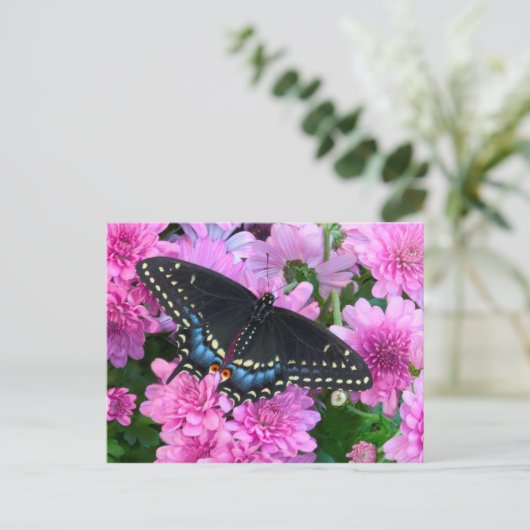 Baltimore Schmetterling Postkarte (Stehend Vorderseite)