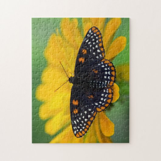 Baltimore Schmetterling Puzzle (Vertikal)