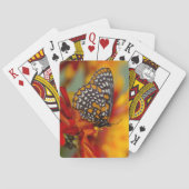 Baltimore-Schmetterling Spielkarten (Rückseite)
