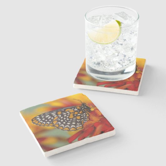 Baltimore-Schmetterling Steinuntersetzer (Seitenansicht)