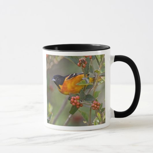 Baltimore-Trillvogel Tasse (Rechts)