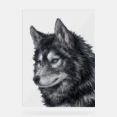 Balto Dog Acrylschild (Vorderseite)