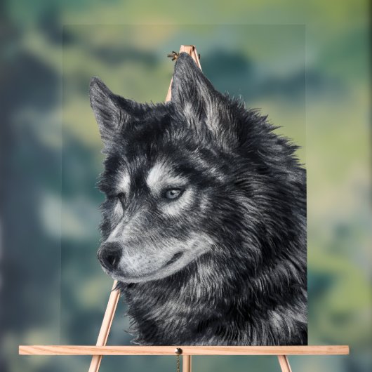 Balto Dog Acrylschild (Neutral)