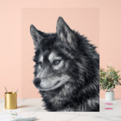 Balto Dog Acrylschild (Hochzeit)