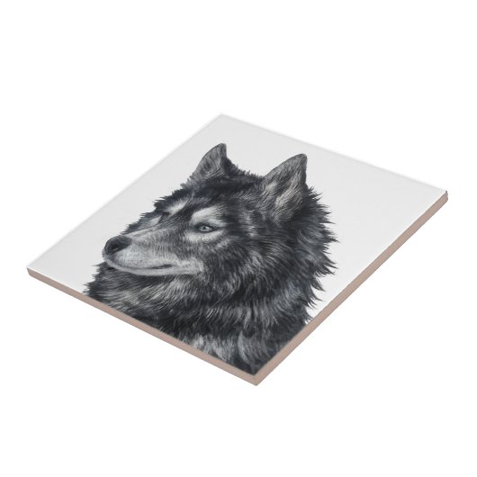 Balto Dog Fliese (Seite)