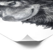 Balto Dog Fotodruck (Ecke)