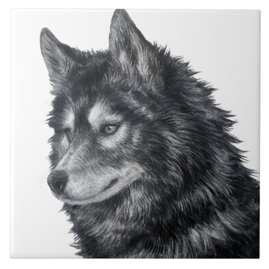 Balto Dog Illustration Fliese (Vorderseite)