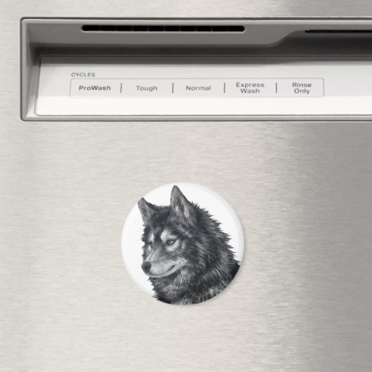 Balto Dog Magnet (In Situ (Geschirrspüler))