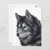 Balto Dog Postkarte (Vorne/Hinten)