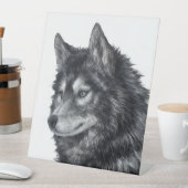 Balto Dog Sockelschild (In Situ)