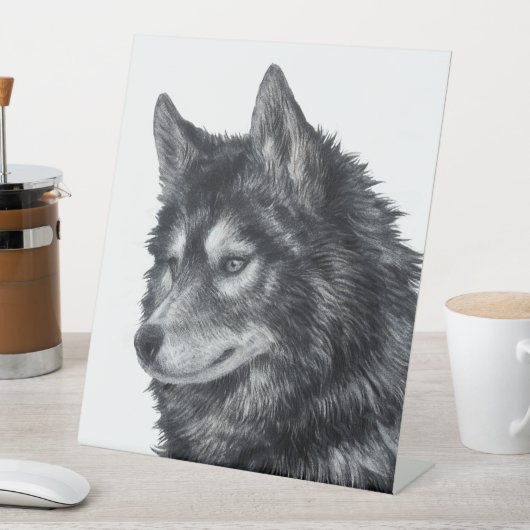 Balto Dog Sockelschild (In Situ)