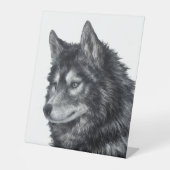 Balto Dog Sockelschild (Vorderseite)