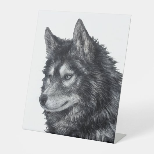 Balto Dog Sockelschild (Vorderseite)