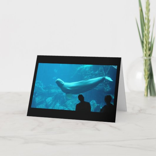 Baluga Karte (Vorderseite)