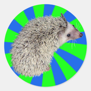 BAM! Igel-Aufkleber 2 Runder Aufkleber