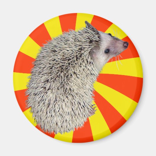 BAM! Igel Magnet 2 (Vorne)
