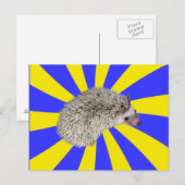 BAM! Igel Postkarte 2 (Vorne/Hinten)