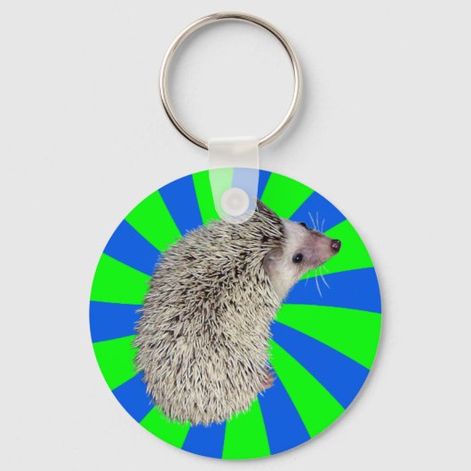 BAM! IGEL SCHLÜSSELANHÄNGER 2 (Vorderseite)