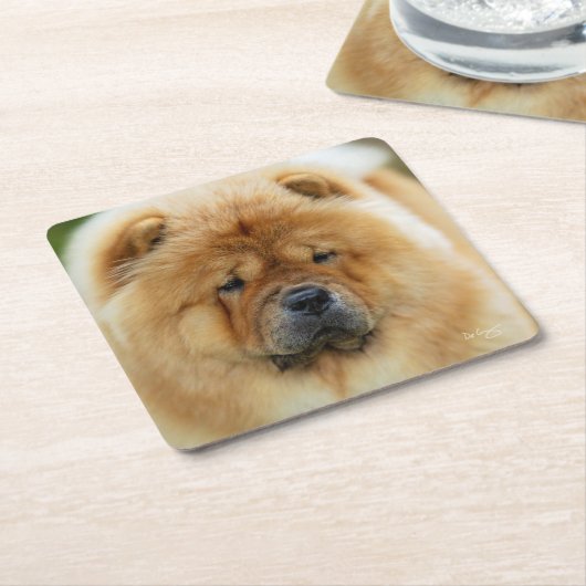 Bamba Chow Untersetzer (angewinkelt)