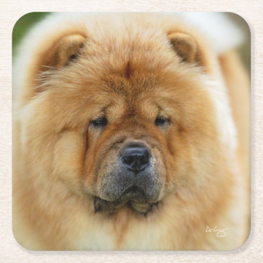 Bamba Chow Untersetzer (Vorderseite)