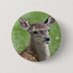 Bambi-Abzeichen Button