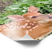 Bambi Fotodruck (Ecke)