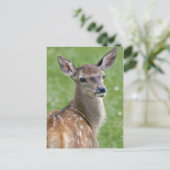 Bambi Postkarte (Stehend Vorderseite)