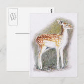 Bambi Postkarte (Vorne/Hinten)