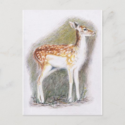 Bambi Postkarte (Vorderseite)