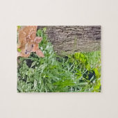 Bambi Puzzle (Horizontal)